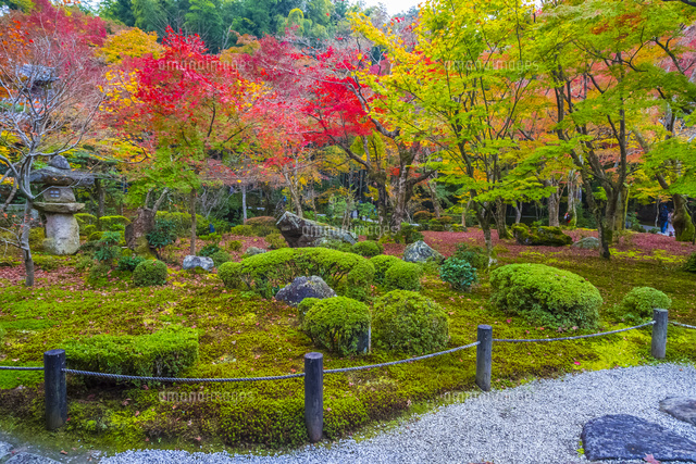 圓光寺の十牛の庭 25041034945 の写真素材 イラスト素材 アマナイメージズ