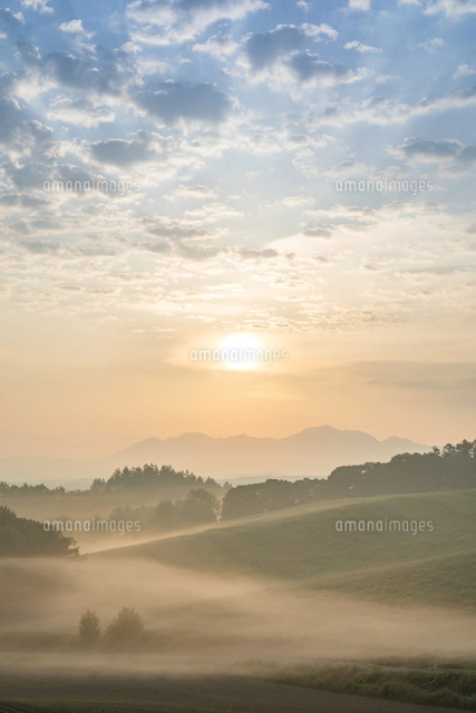 朝もやの丘[25041037194]の写真・イラスト素材｜アマナイメージズ