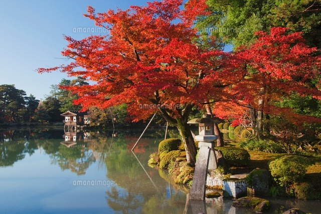 紅葉の兼六園 の写真素材 イラスト素材 アマナイメージズ