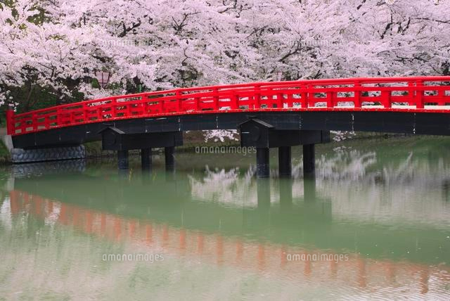弘前公園橋 _ 弘前公園 案内図 | 春陽橋、弘前公園 – BRJUON