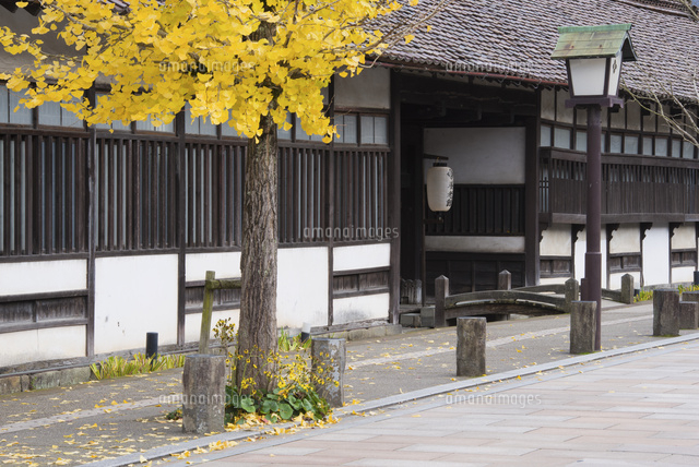 殿町通り[25053011464]の写真素材・イラスト素材｜アマナイメージズ