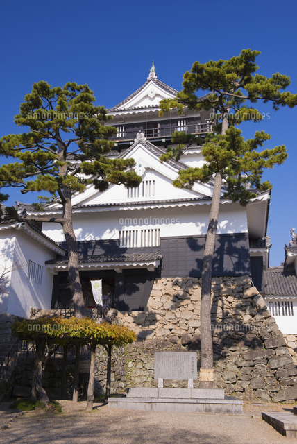 岡崎城[25053012869]の写真・イラスト素材｜アマナイメージズ