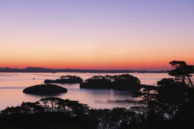 松島の夜明け[25053015046]の写真・イラスト素材｜アマナイメージズ
