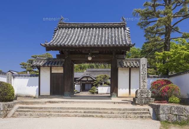 F8号油彩画「春の備中国分寺」No.49 F8号油彩画「春の備中国分寺」No