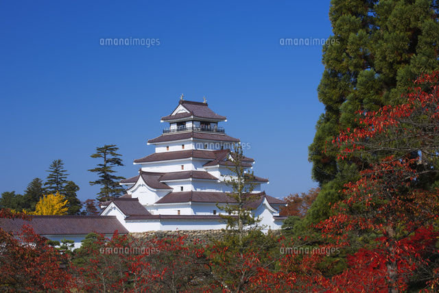 紅葉の鶴ヶ城 の写真素材 イラスト素材 アマナイメージズ