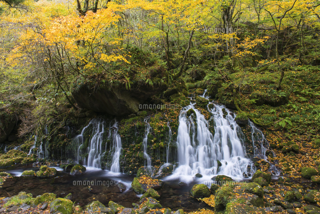紅葉の元滝伏流水[25053017937]の写真・イラスト素材｜アマナイメージズ