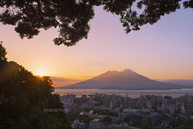 鹿児島市街と桜島の朝[25053018706]の写真・イラスト素材｜アマナ