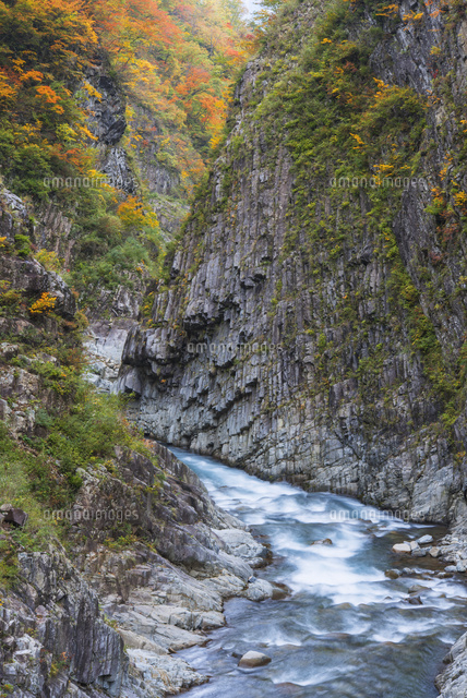 紅葉の清津峡 の写真素材 イラスト素材 アマナイメージズ