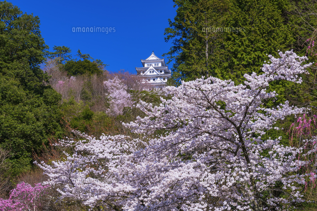 郡上八幡城　　水彩画　　SHO まずは一点透視 ／ 岐阜県・郡上八幡 【透明水彩風景画】 Gujo