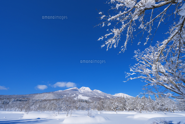 冬のいもり池と妙高山[25053023564]の写真・イラスト素材｜アマナ