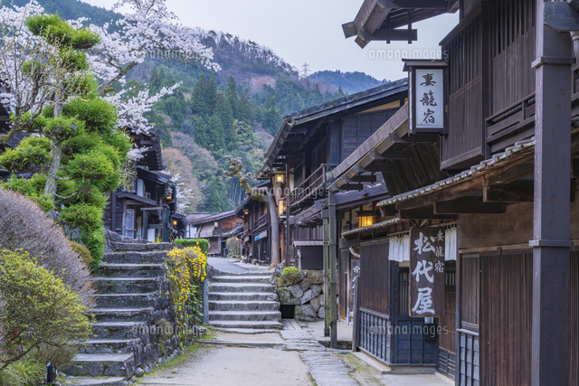 妻籠宿と桜[25053024265]の写真・イラスト素材｜アマナイメージズ