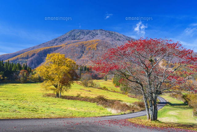 秋の黒姫高原と黒姫山[25053024769]の写真・イラスト素材
