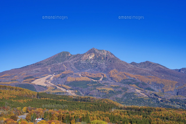 風景画　黒姫山　額縁入り 61e54ad35ddd3-300x300.jpg