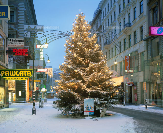 ケルントナー通クリスマスツリー ウィーン オーストリア の写真素材 イラスト素材 アマナイメージズ