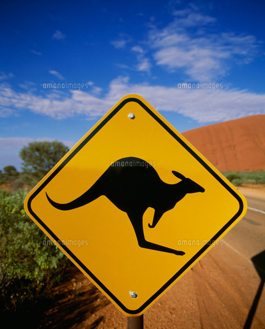 ピンバッジ オーストラリア カンガルー カンガルー ピン ピンバッジ 1オーストラリア 11個 - メルカリ