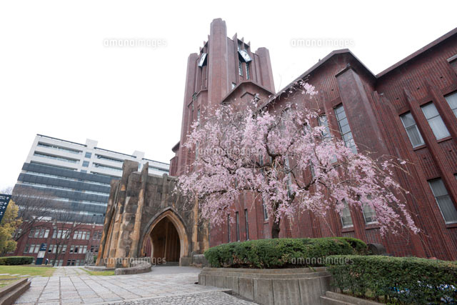 水彩画 東京大学 安田講堂 SHO （東京大学（本郷）講堂改修工事