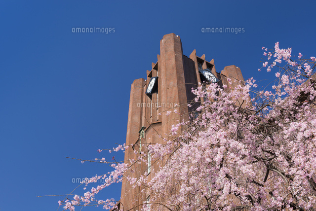 水彩画 東京大学安田講堂SHO