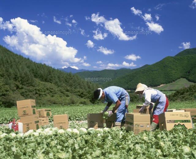 福井江亭/山水図/農作業図/掛軸☆宝船☆AB-613 福井江亭/山水図/農作業図/掛軸☆宝船☆AB-613 福井江亭/