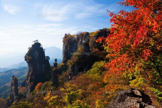 晩秋の妙義山　F20 W 72センチ×H 61センチ 秋の妙義山[25222014478]の写真・イラスト素材｜アマナイメージズ