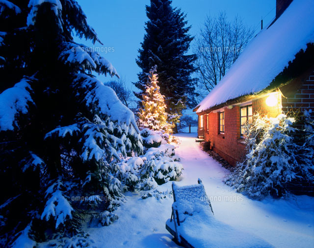 クリスマスイルミネーションで装飾された木と家 の写真素材 イラスト素材 アマナイメージズ