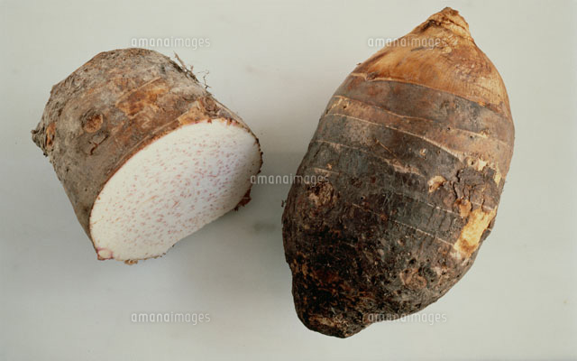 タロイモ[25330003950]の写真・イラスト素材｜アマナイメージズ