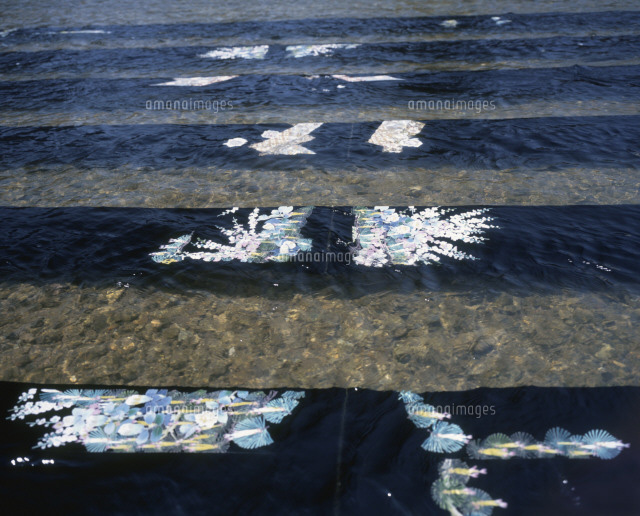 金沢友禅流し の写真素材 イラスト素材 アマナイメージズ