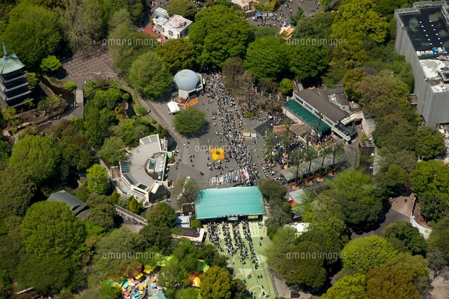 パンダ見物で混雑の上野動物園 上野公園 の写真素材 イラスト素材 アマナイメージズ パンダ見物で混雑の上野動物園 上野公園 の写真素材 イラスト素材 アマナイメージズ