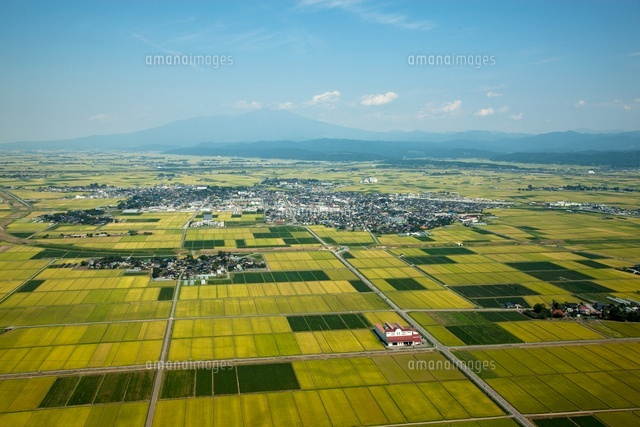平野 平野 貴大｜スタッフインタビュー | 株式会社REJECT