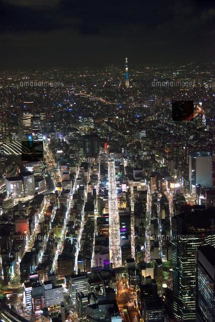 夜の銀座通り 東京駅周辺と東京スカイツリー 粋 方面 の写真素材 イラスト素材 アマナイメージズ