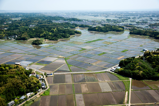 九十九里平野と水田[25397015057]の写真・イラスト素材｜アマナイメージズ
