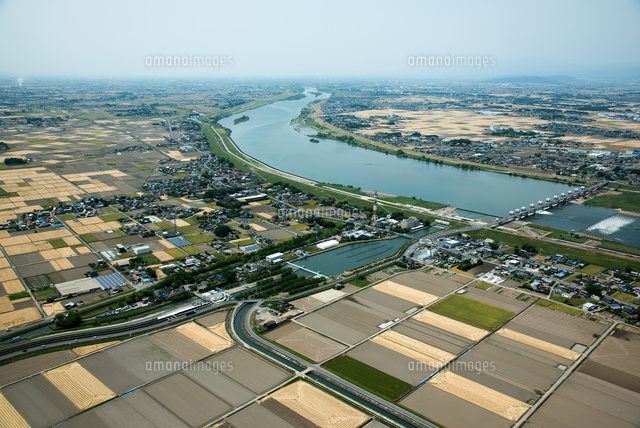 利根大堰と利根川より利根川上流方面[25397015125]の写真・イラスト