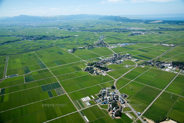 庄内平野 庄内町高田麦周辺 より鶴岡市街地 日本海方面 の写真素材 イラスト素材 アマナイメージズ 庄内平野 庄内町高田麦周辺 より鶴岡市街地 日本海方面 の写真素材 イラスト素材 アマナイメージズ