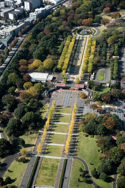 カナール 国営昭和記念公園内 西洋庭園の紅葉 の写真素材 イラスト素材 アマナイメージズ