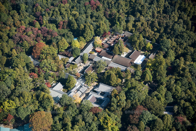 春日大社 春日神社 周辺世界文化遺産 の写真素材 イラスト素材 アマナイメージズ