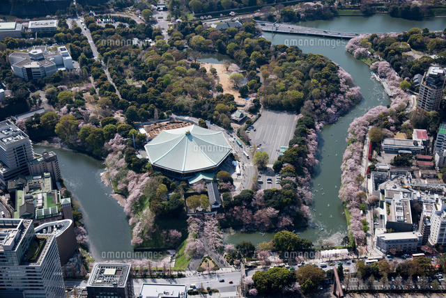 満開の桜の千鳥ヶ淵,牛ケ淵,日本武道館,北の丸公園周辺[25397016988]の