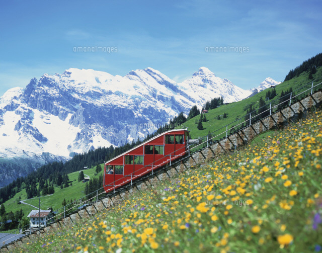 アルプスと登山電車 の写真素材 イラスト素材 アマナイメージズ
