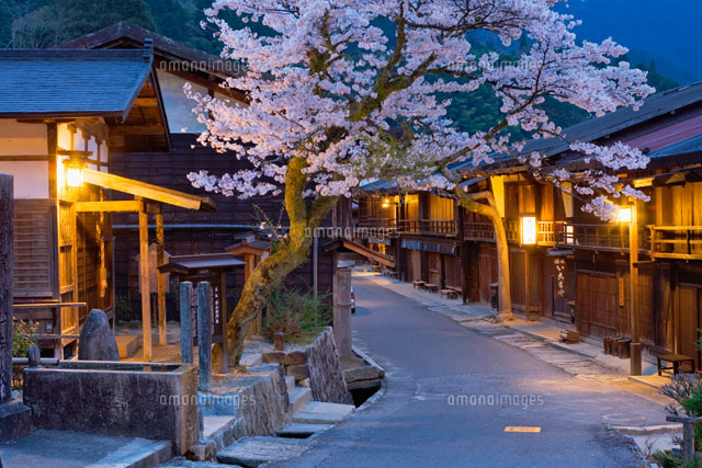 桜咲く妻籠宿の夜景[25426013664]の写真・イラスト素材｜アマナイメージズ