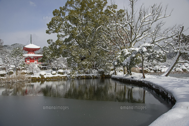 雪の大覚寺 大沢池[25467012548]の写真素材・イラスト素材｜アマナ 