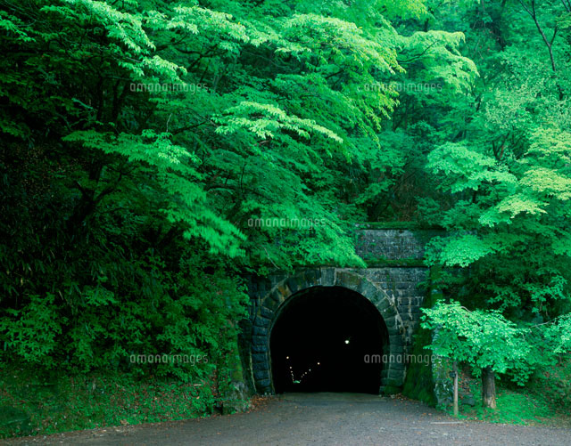 天城峠旧トンネル の写真素材 イラスト素材 アマナイメージズ