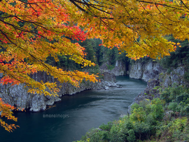 紅葉の瀞八丁 瀞峡 の写真素材 イラスト素材 アマナイメージズ