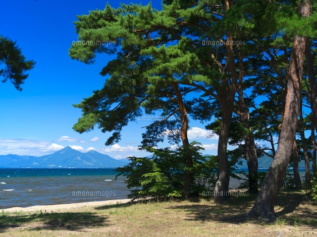 松林と猪苗代湖と磐梯山 の写真素材 イラスト素材 アマナイメージズ