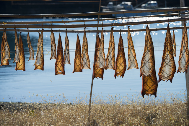 ウツボ干し の写真素材 イラスト素材 アマナイメージズ