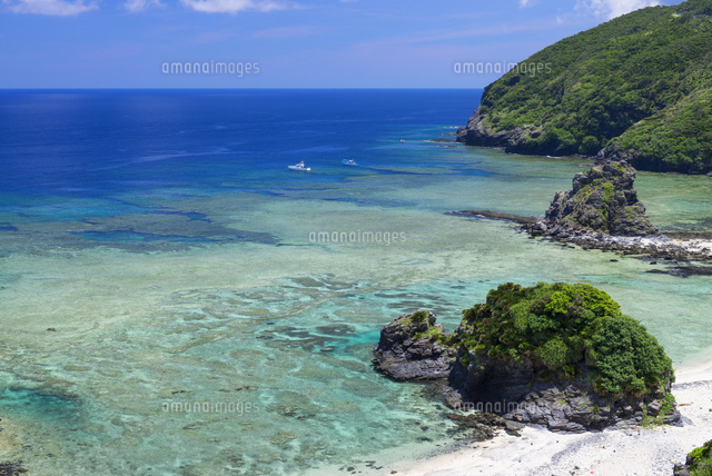 ニタの浜と裾礁 座間味島 の写真素材 イラスト素材 アマナイメージズ
