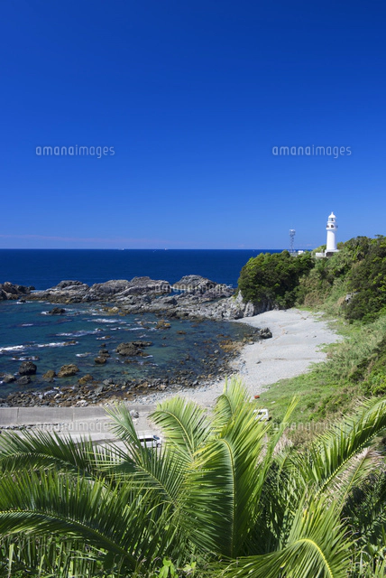 潮岬海岸段丘と光る海と潮岬灯台[25488033029]の写真・イラスト素材