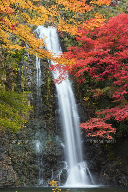 徳力富吉郎　木版画　箕面の紅楓　紅葉　滝　風景画 徳力富吉郎 木版画 箕面の紅楓 紅葉 滝 風景画