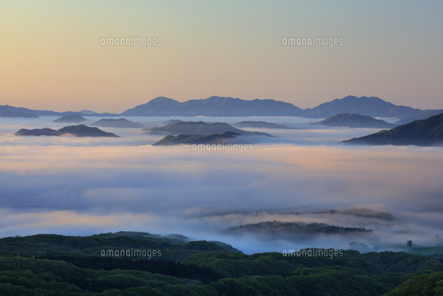 鬼女台より蒜山高原の雲海の朝[25488036165]の写真・イラスト素材