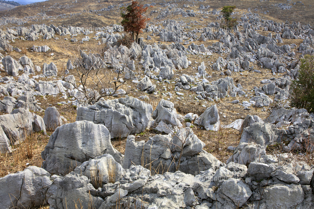 秋吉台 カルスト地形 カルスト台地 25488037690 の写真素材 イラスト素材 アマナイメージズ