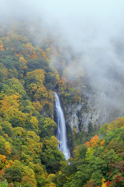 朝霧漂う紅葉の澗満滝[25488039193]の写真・イラスト素材