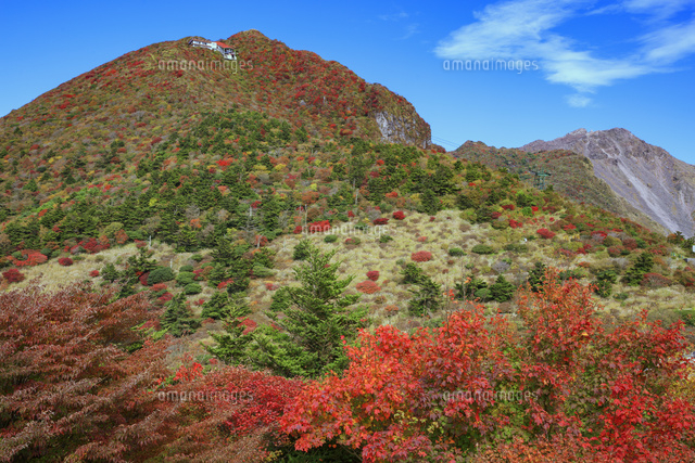 紅葉の仁田峠より妙見岳と平成新山 の写真素材 イラスト素材 アマナイメージズ