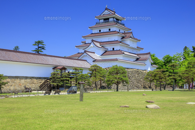 新緑の鶴ヶ城 本丸より撮影 の写真素材 イラスト素材 アマナイメージズ